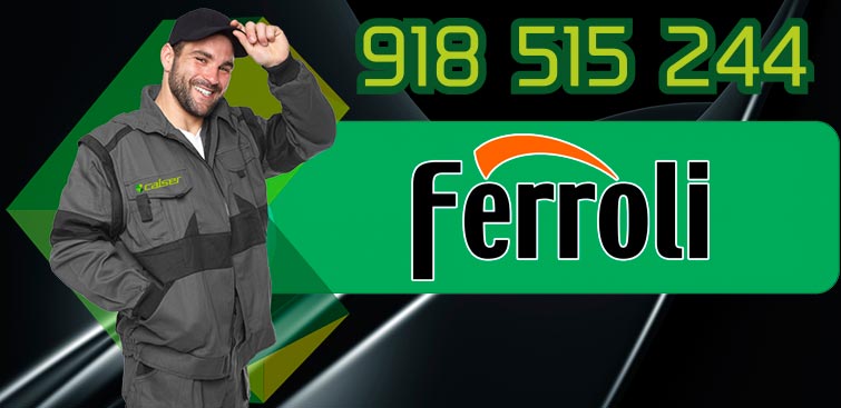 Servicio Técnico Calderas Ferroli en Torrelodones